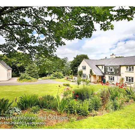 Swallows Cottage Launceston Esterno foto